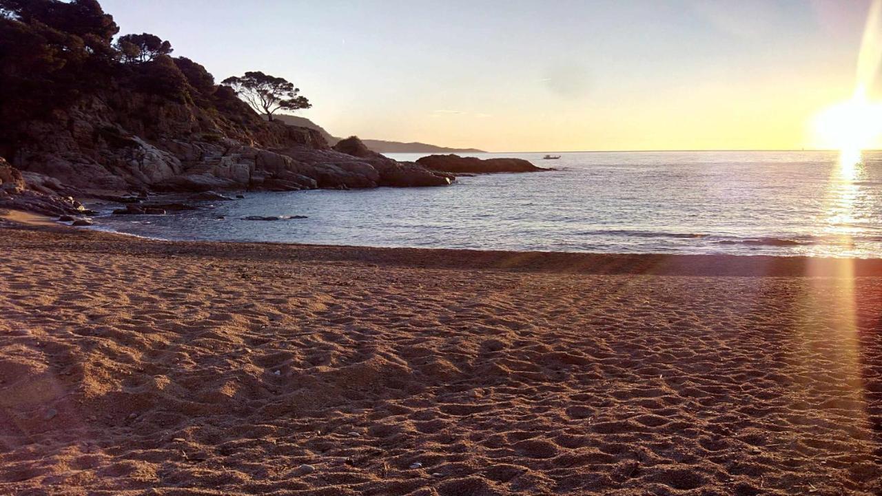 Apartamento Carabelasiente La Brisa Del Mar トッサ・デ・マール エクステリア 写真
